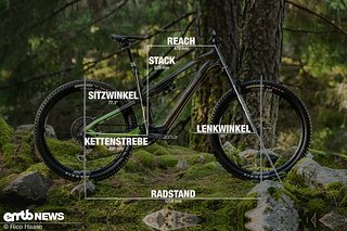 Haibike Lyke Geometrieangaben Rahmengröße L
