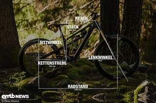 YT Decoy SN Geometrieangaben Rahmengröße L YT Decoy SN Geometrieangaben Rahmengröße L