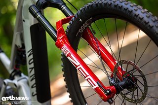 Eine rote Zeb soll entzücken