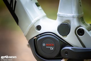 Das Aggregat der Wahl – ein BOSCH CX der neuesten Generation mit satten 100 Nm Drehmoment.