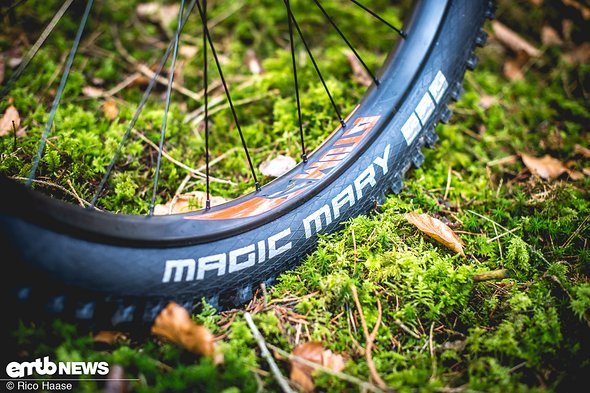 Schwalbe Magic Mary tyres basically guarantee traction and grip Schwalbe Magic Mary tyres basically guarantee traction and grip