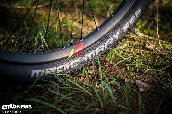 Such a heavy E-Mountainbike needs sturdier tyres – we would suggest speccing the Schwalbe SG casing Such a heavy E-Mountainbike needs sturdier tyres – we would suggest speccing the Schwalbe SG casing