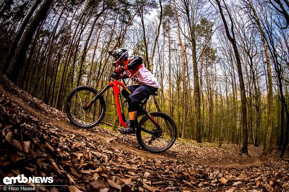 The geometry is modern and offers you a lot of space to manoeuvre whilst riding The geometry is modern and offers you a lot of space to manoeuvre whilst riding