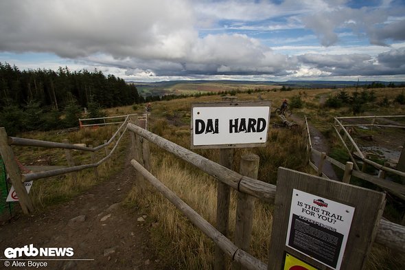 Dai is a welsh name Dai is a welsh name