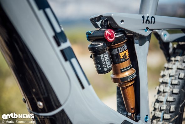 At the back, a Fox DPX Float shock controls the suspension At the back, a Fox DPX Float shock controls the suspension