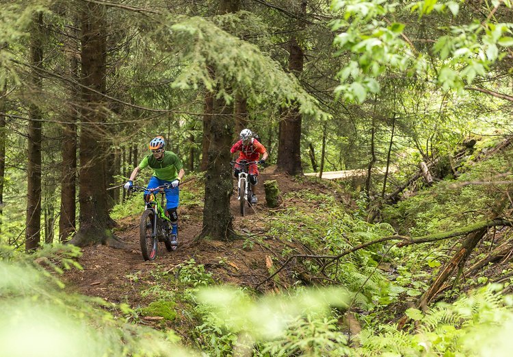 Der Trail soll für verschiedene Könnerstufen konzipiert sein Der Trail soll für verschiedene Könnerstufen konzipiert sein