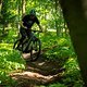 Foto Chris-060