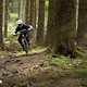 Specialized Levo SL Expert PSturm-5