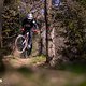 Haibike ALLMTN CF 11 TRN/IQ mit Pinion MGU