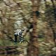 Bosch-eBike-Leissure-Liguria-MY2025-2675