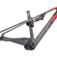 RX275 Frameset 9714