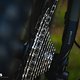Trek Slash+ VT Light-Support-E-MTB 2025DSC 7128