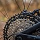 BH Bike-26