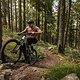 Egal, ob lange Waldautobahn oder steiles Klettersegment