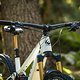 Pivot verbaut Hauseigene Komponenten nur am Cockpit