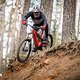 Specialized Turbo Levo Pro in Action