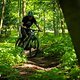 Foto Chris-058
