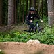 Dank Bosch CX Gen5, guten Reifen und einer langen Kettenstrebe klettert das Deft 9.0 ansonsten unbeirrt