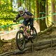 Falk Schlageter