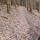 Trails Herrgottsberg, Radegundenberg, Burgwaldener Weiher