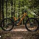 Canyon Spectral:ONfly 2025 Neuheit und Test