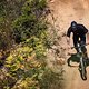 Draufsetzen und losballern – so auch beim Vala, das neue E-MTB aus Kalifornien, überzeugt mit bekannten Tugenden.