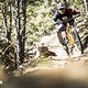 Im Downhill punktet das Canyon Spectral:ONfly CLLCTV ...