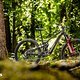 Propain Sresh SL 2026 Neuheit und Test