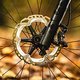 ... mit Shimano XT-Bremsen.