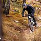 Das Canyon Strive:ON CFR ist kein geborener Allrounder, kann es aber sein