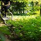 Foto Chris-073