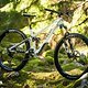 Pivot Shuttle SL – Preis: 11.999 € (UVP)