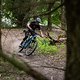 Das Nox Amplifier P2 ist ein schnelles Bike mit hohen Nehmerqualitäten und Spaß an steilen oder ruppigen Abfahrten.