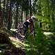 ... wunderbaren Flow, alles, was Bikende so brauchen.
