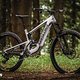 Santa Cruz Heckler SL