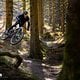 BH iLYNX TRAIL 2025 PSturm-19