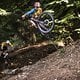 Auch Flugmeilen lassen sich auf den UrTrails sammeln.