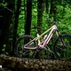 Orbea Wild Fast Forward Team 2025 Bikecheck DSC 2911