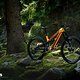 Canyon SpectralONfly CLLCTV VT Light-Support-E-MTB 2025DSC 7248