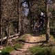RockshoxZeb vs Fox38 Vergleichstest 2025 PSturm