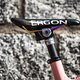 Moustache-Absalon-4433