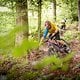 Waldboden Deluxe, denn die UrTrails haben ihren ursprünglichen Charakter echter Naturtails trotz Baumaßnahmen beibehalten.