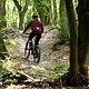 Foto Chris Spath Rotwild REX-69
