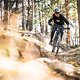 Latsch-Trek-9401