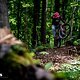 Propain Sresh SL Action DSC 3474-Verbessert-RR
