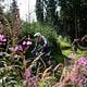 Bosch Flow Camp 2025 emtb news MH-107