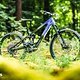 Forbidden Druid Lite 1 – ein E-Trailbike mit bärenstarkem DJI-Motor