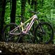 Ready to Race: Orbea Wild LTD vom Fast Forward Team.