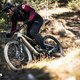 Latsch-Simplon-9593