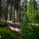 Bosch Flow Camp 2025 emtb news MH-133